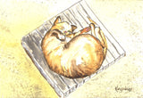 Animals - Various Small Mounted Prints - By Gillian Kingslake