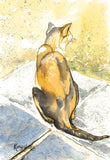 Animals - Various Small Mounted Prints - By Gillian Kingslake