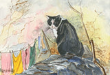 Animals - Various Small Mounted Prints - By Gillian Kingslake