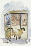 Animals - Various Small Mounted Prints - By Gillian Kingslake