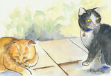 Animals - Various Small Mounted Prints - By Gillian Kingslake