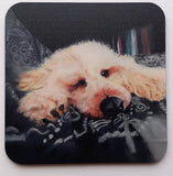 Coasters - By Annette Robertson