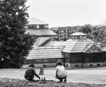 Botanical Boys Photograph - by Edd Carlile