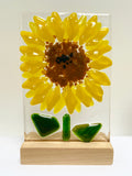Glass Flowers - by Kate Doherty - Mauralen Glass