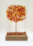 Medium Glass Trees - Mauralen Glass