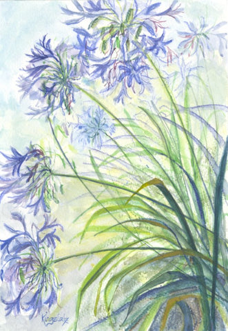 "Agapanthus, Kibble Palace" - Unframed Original Watercolour By Gillian Kingslake