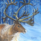 Christmas Cards by Gillian Kingslake