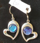 Paua Shell in Silver Frame Earrings - by Mhairi Sim - Girl Paua