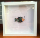 Paua Shell Mosaic Box Frames - by Mhairi Sim - Girl Paua