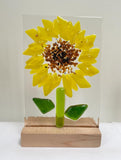 Glass Flowers - by Kate Doherty - Mauralen Glass