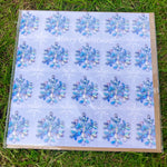Paua Shell Print Christmas Cards - by Mhairi Sim - Girl Paua