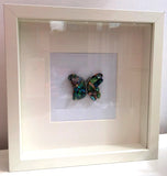 Paua Shell Mosaic Box Frames - by Mhairi Sim - Girl Paua