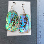 Natural shaped Paua Shell  Earrings - by Mhairi Sim - Girl Paua