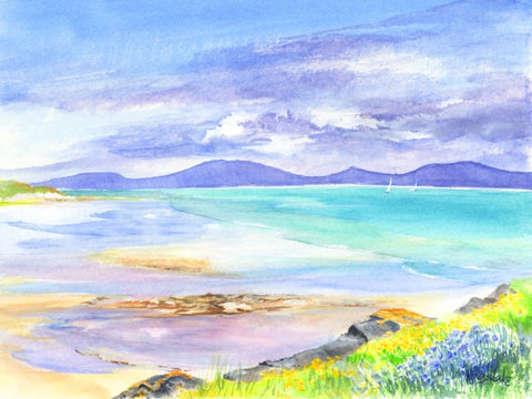 'Summer Eoligarry, Barra' Mounted Print by Gillian Kingslake