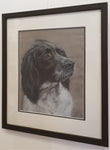 Wistful Spaniel by Irene Blackwood