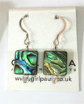 Paua Shell and Crystal Earrings - by Mhairi Sim - Girl Paua