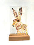 Hand Drawn Collection - by Kate Doherty - Mauralen Glass