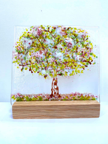 Large Trees - by Kate Doherty - Mauralen Glass