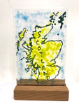 Scottish Collection of Stands - by Kate Doherty - Mauralen glass