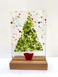 Christmas Trees - medium