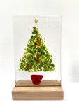 Christmas Trees - medium