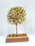 Medium Glass Trees - Mauralen Glass