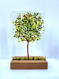 Medium Glass Trees - Mauralen Glass