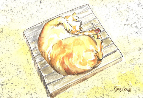 Animals - Various Small Mounted Prints - By Gillian Kingslake
