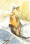 Animals - Various Small Mounted Prints - By Gillian Kingslake