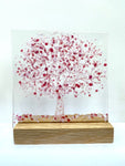 Large Trees - by Kate Doherty - Mauralen Glass