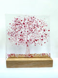 Large Trees - by Kate Doherty - Mauralen Glass