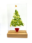 Christmas Trees - medium