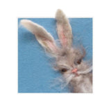 Bunny Greetings Cards- by Lynne McGill - Lin-Pin