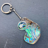 Paua Shell Charm Keyrings - by Mhairi Sim - Girl Paua